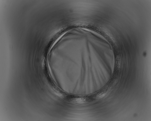 X0000094220692200711241722