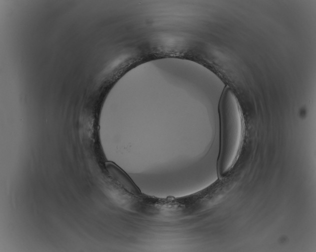 X0000094220693200711241722