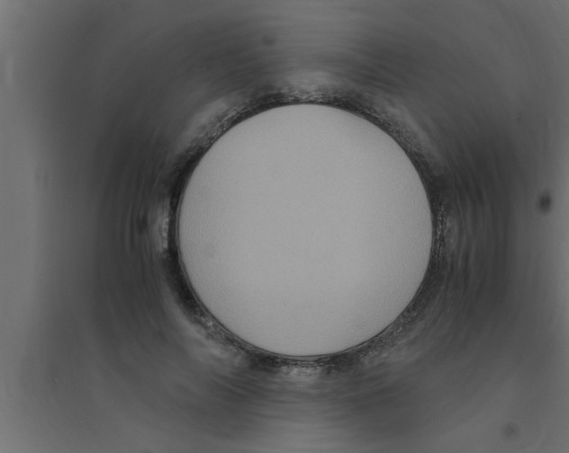 X0000094220694200711241722