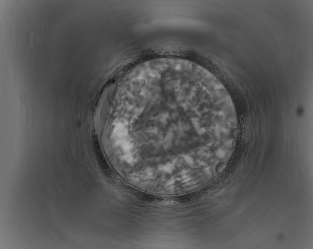 X0000094220695200711241722