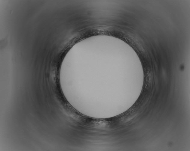 X0000094220698200711241721