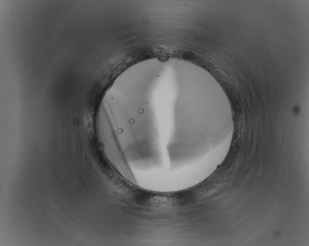 X0000094220699200711241721