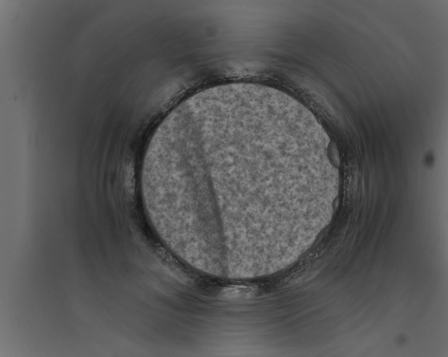 X0000094220700200711241721