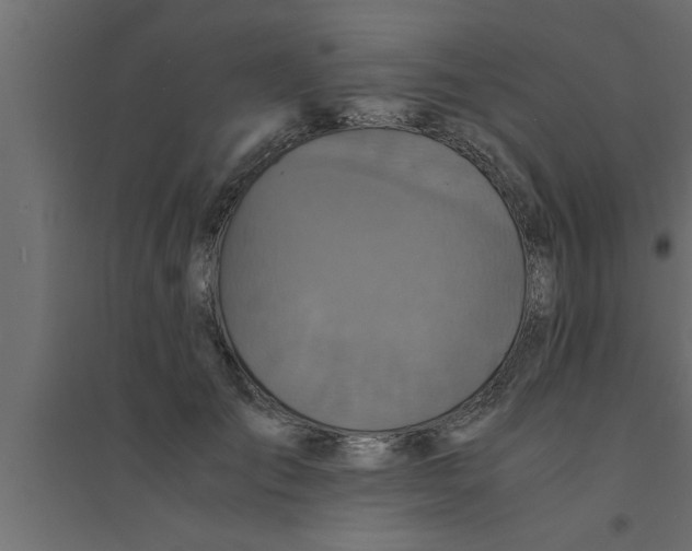 X0000094220701200711241721