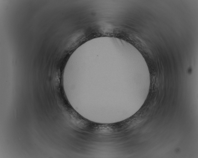 X0000094220702200711241721