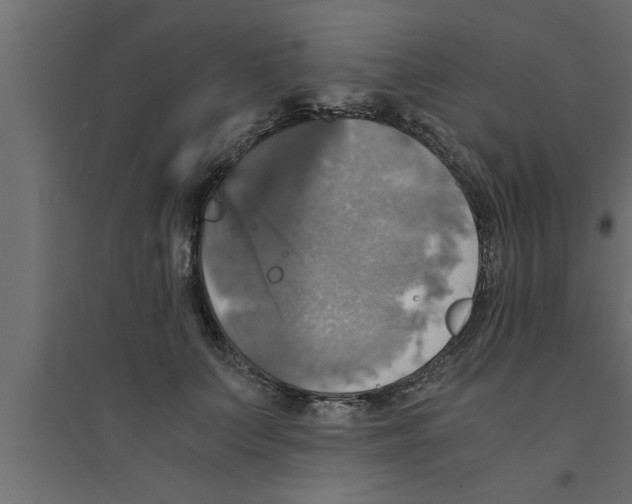 X0000094220703200711241721