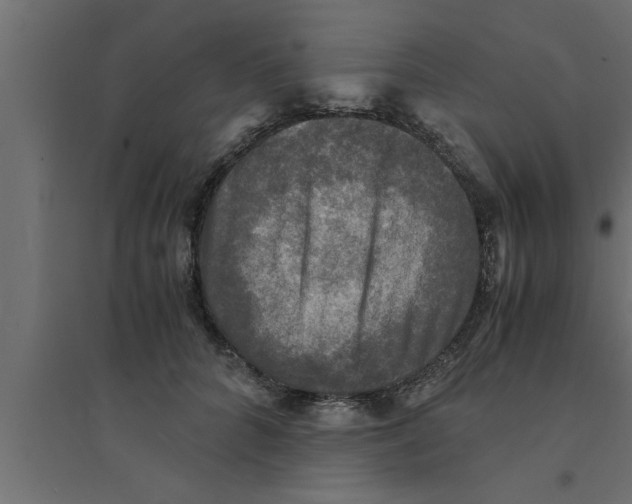 X0000094220704200711241721