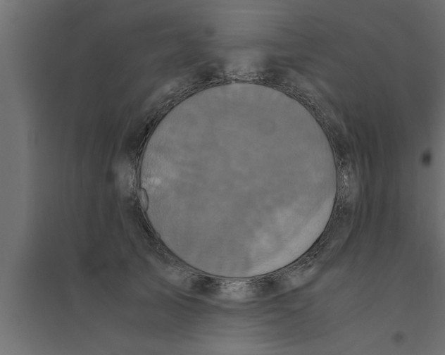 X0000094220705200711241721