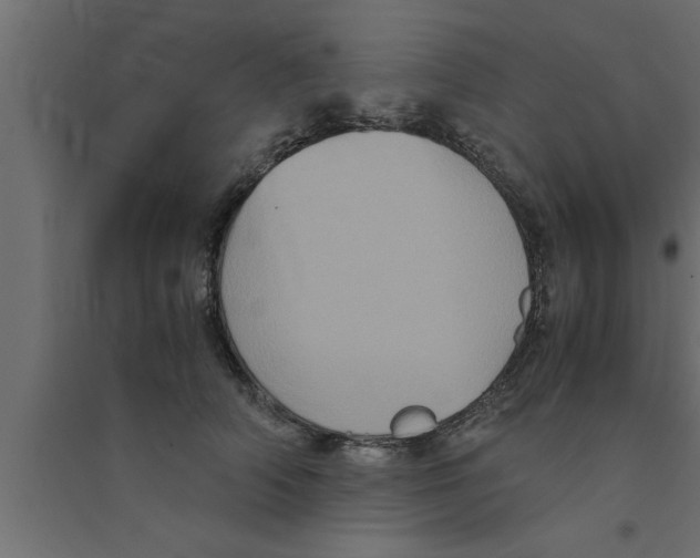 X0000094220706200711241721