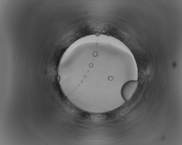 X0000094220707200711241721