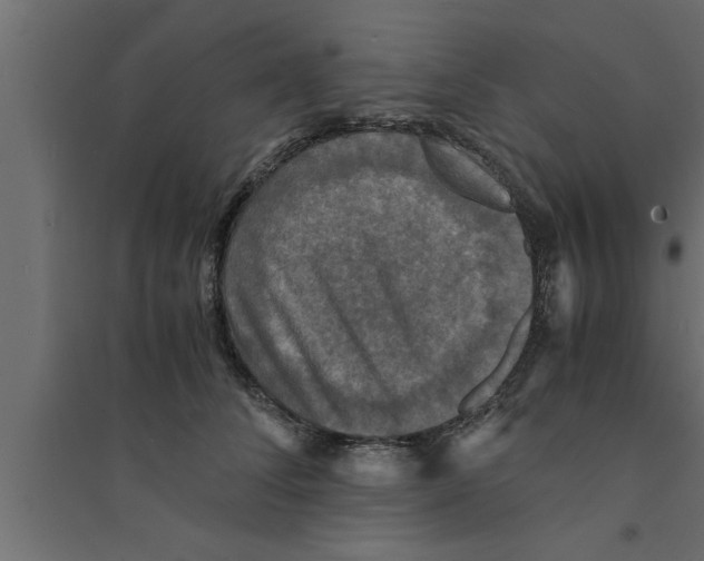 X0000094220708200711241721