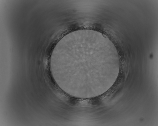 X0000094220709200711241721