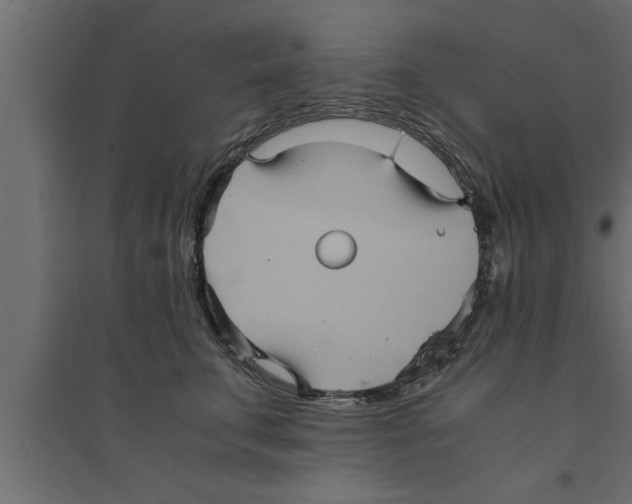 X0000094220711200711241721