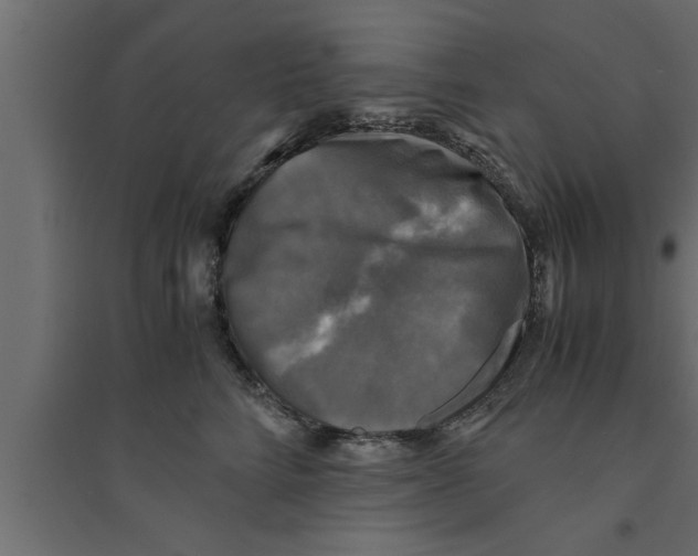 X0000094220712200711241721