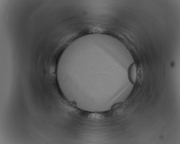 X0000094220714200711241721