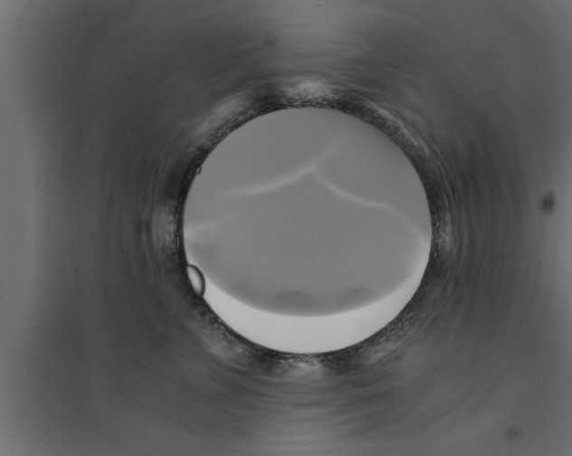 X0000094220715200711241721