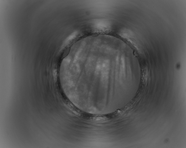 X0000094220716200711241721