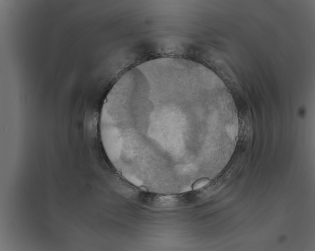 X0000094220717200711241721