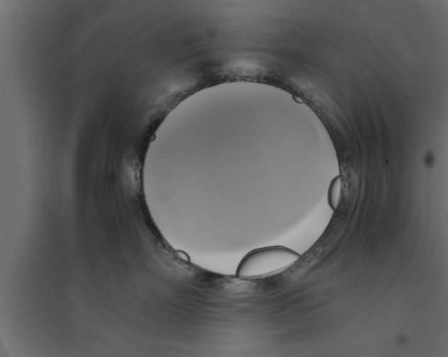 X0000094220718200711241721