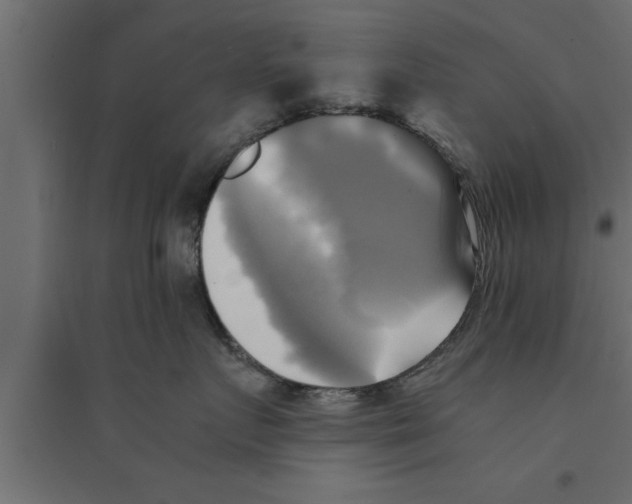 X0000094220719200711241721