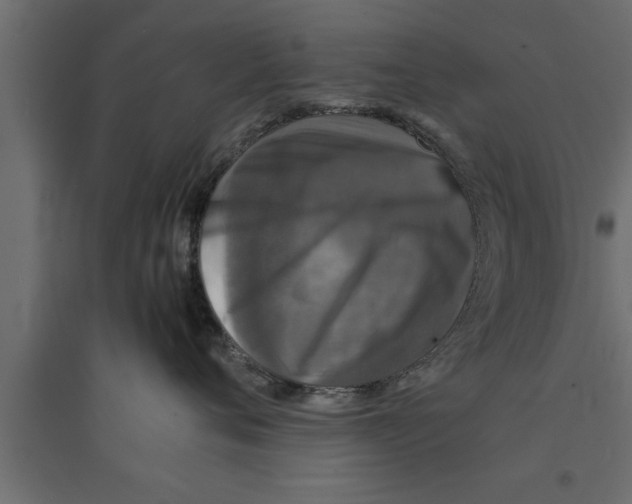 X0000094220720200711241721