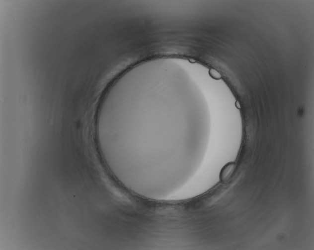 X0000094220721200711241721