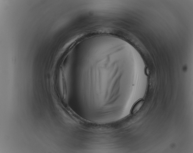 X0000094220722200711241721