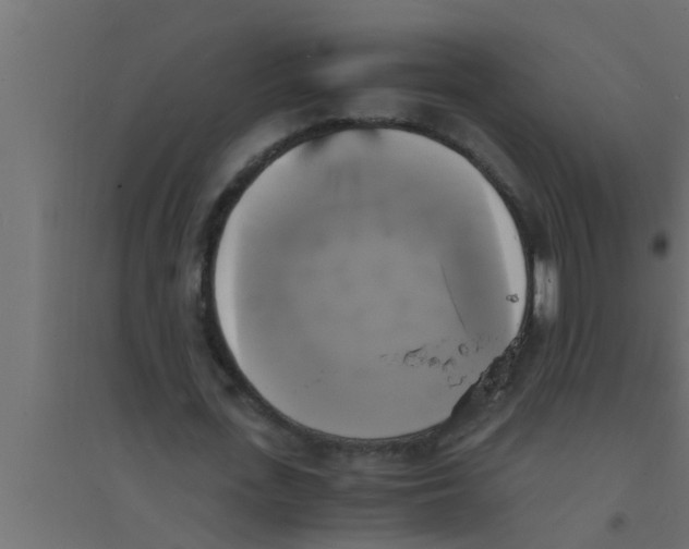 X0000094220723200711241721