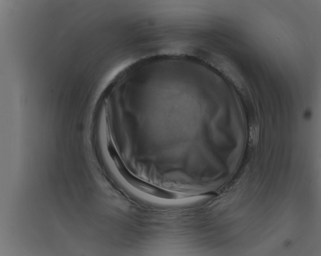 X0000094220724200711241721