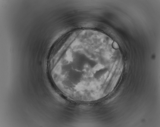 X0000094220725200711241721