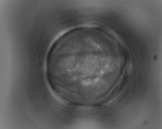 X0000094220726200711241721