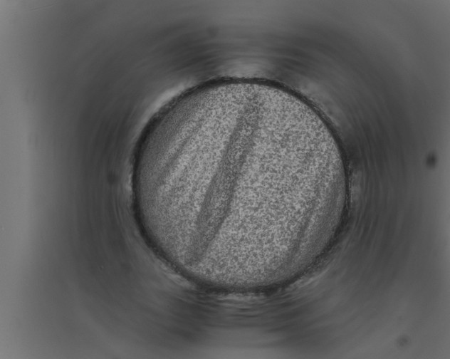 X0000094220727200711241721