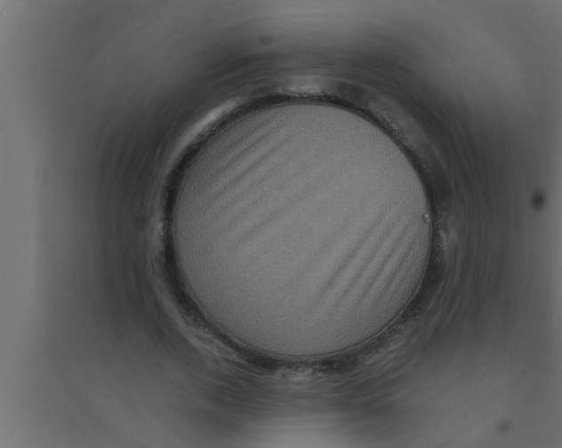 X0000094220728200711241721