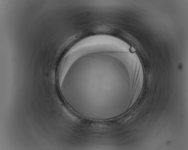 X0000094220729200711241721