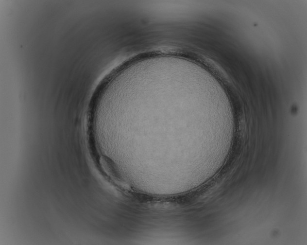 X0000094220730200711241721