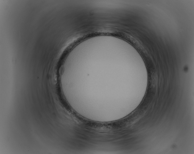 X0000094220731200711241721