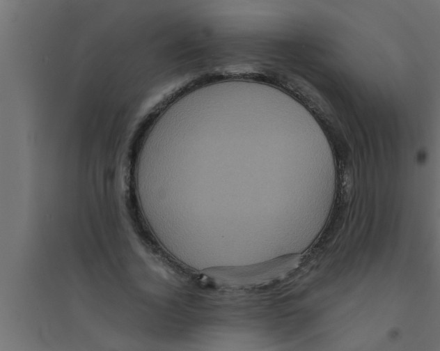 X0000094220732200711241721