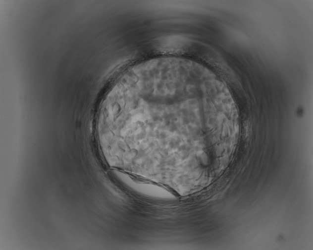 X0000094220733200711241721