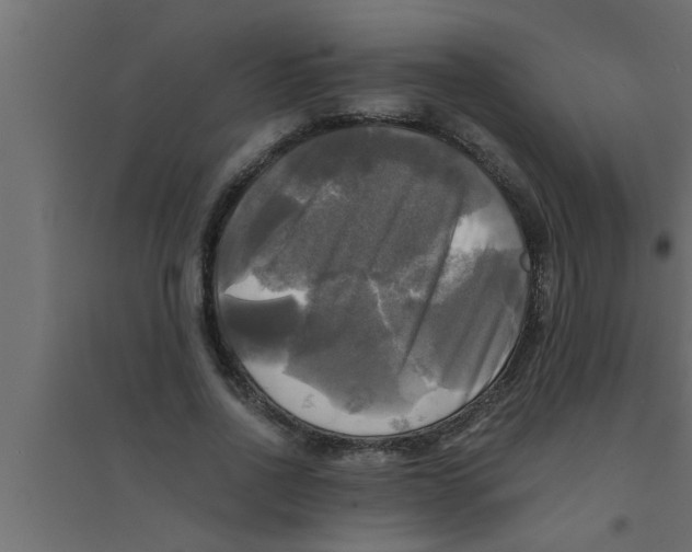 X0000094220734200711241721