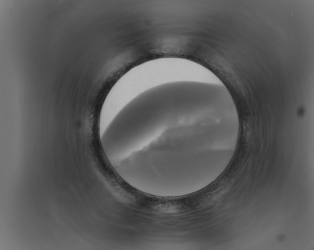 X0000094220735200711241721