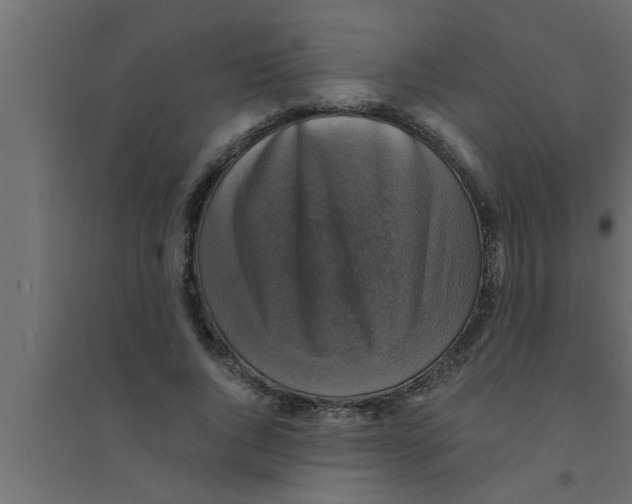 X0000094220736200711241721