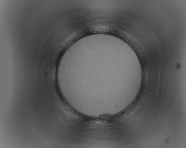 X0000094220737200711241721