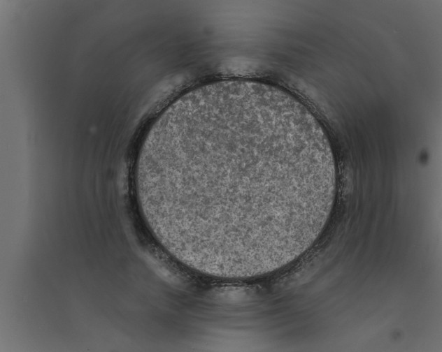 X0000094220738200711241721