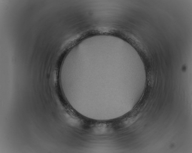 X0000094220740200711241721