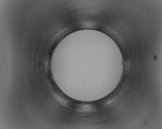 X0000094220741200711241721