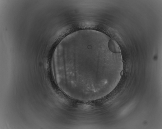 X0000094220743200711241721