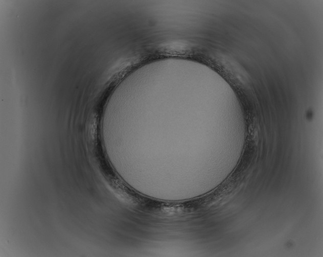 X0000094220744200711241721