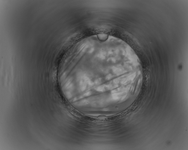 X0000094220745200711241721