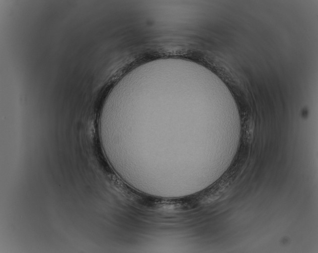 X0000094220746200711241721