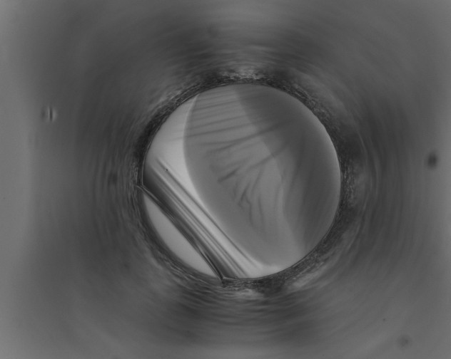 X0000094220747200711241721